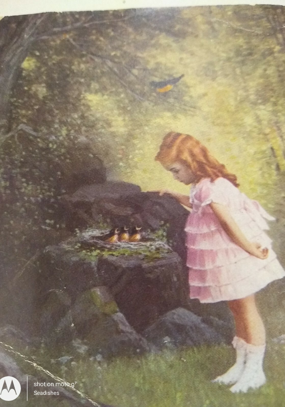 Ingersoll Redipoint Pencils Victorian Trade Card Child With Baby Birds