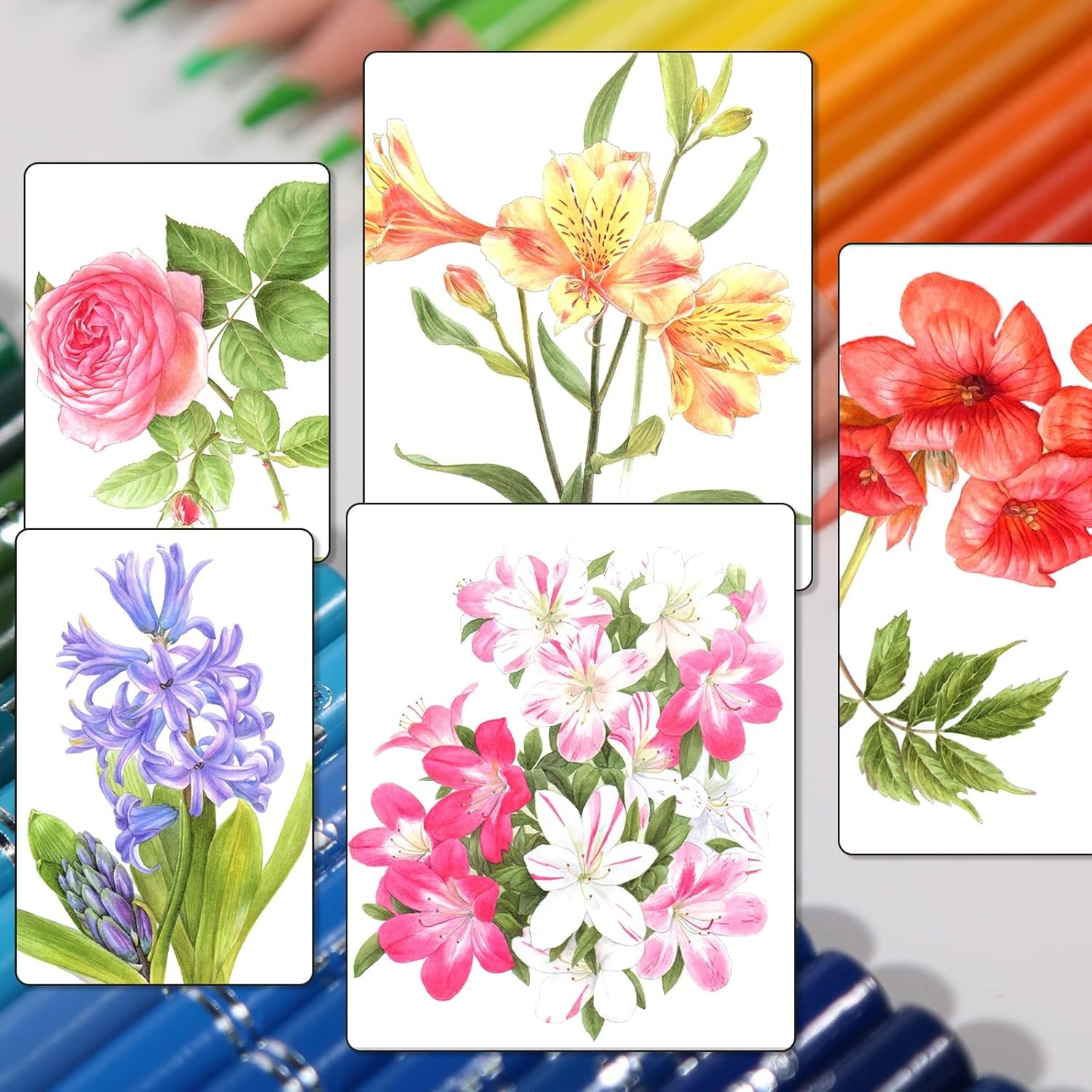 H & B 120 Colored Soft-core Coloring 1 Count (Pack of 120), 120 Colors