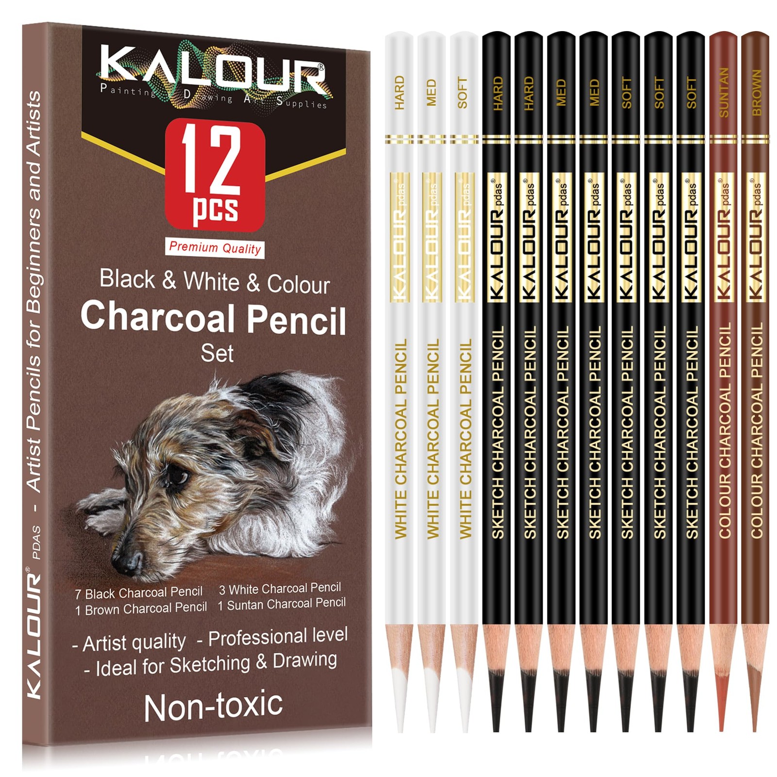KALOUR Pro Colored Charcoal Drawing Set,12 1 Count (Pack of 12), Multicolor
