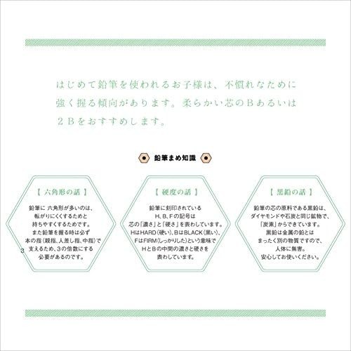 Mitsubishi Pencil Co., Ltd. 9800 pencil dozen (12 pieces) HB K9800HB (japan impo