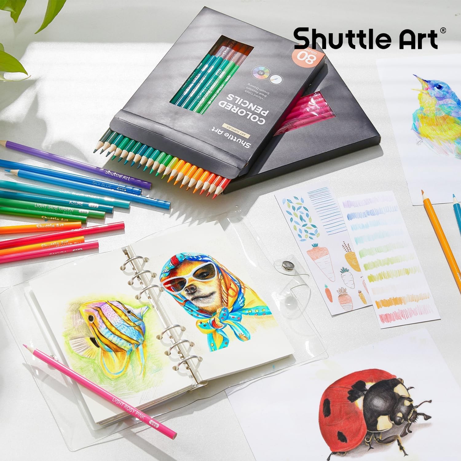 Shuttle Art 80 Colored Pencils, 1 Count (Pack of 80), 80 Colors