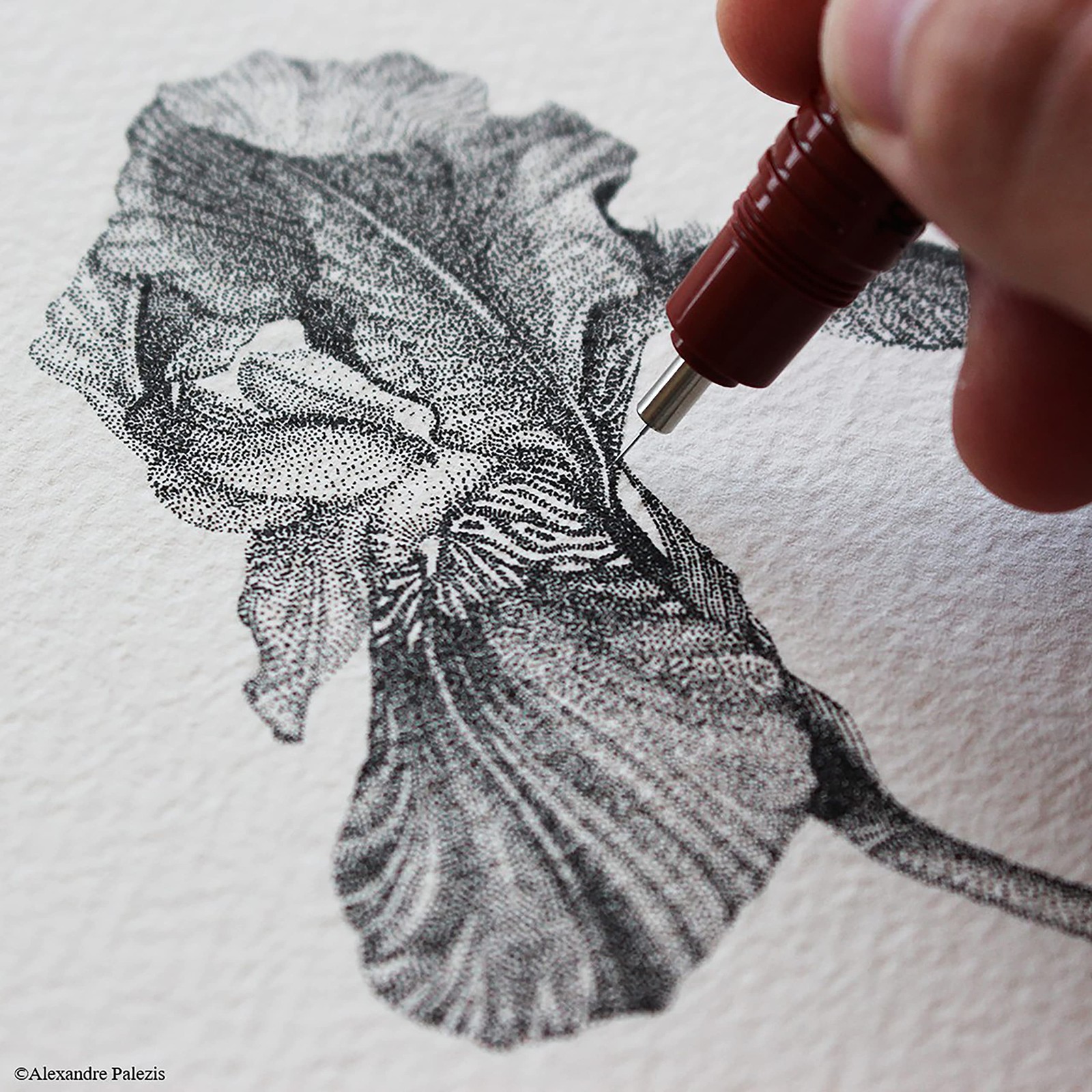 Isograph Drawing Set with Pens Mechanical Pencil and Ink for Artists