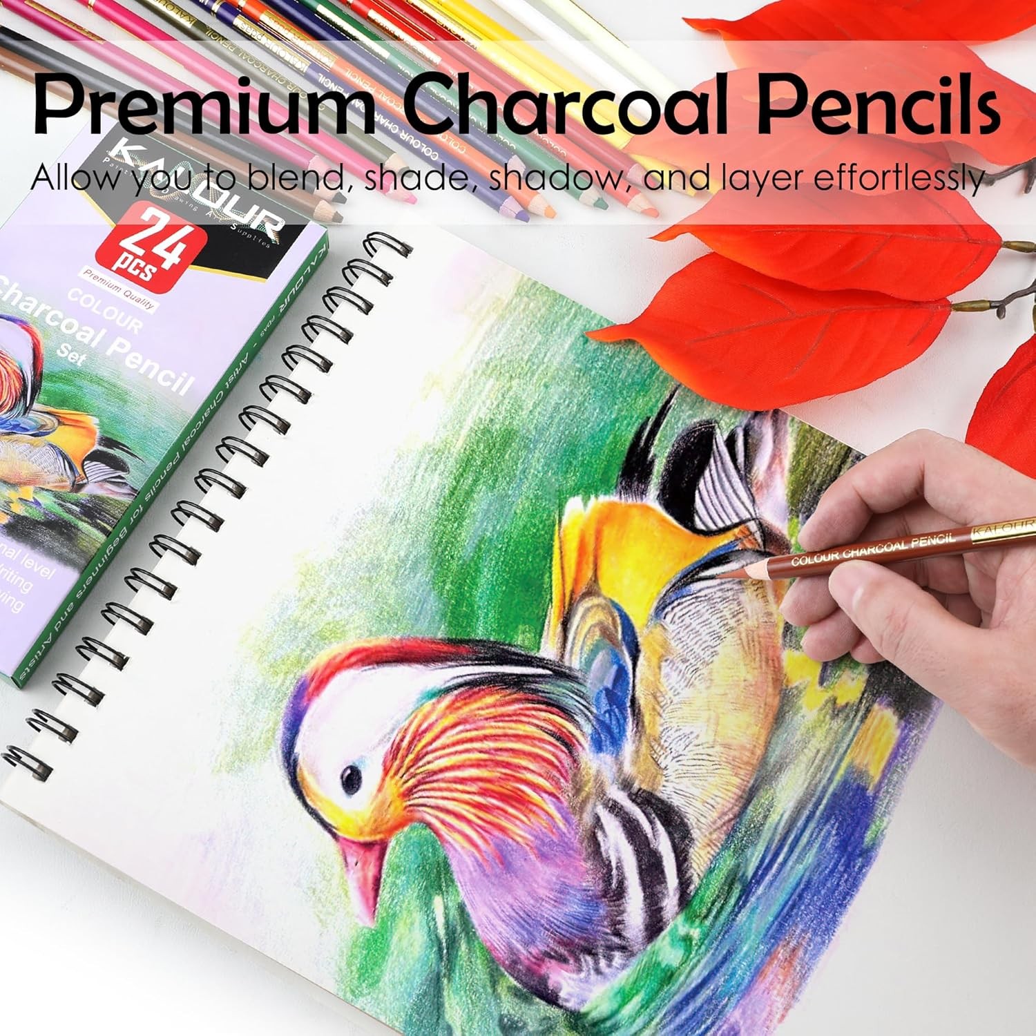 24 Premium Colored Charcoal Pencils Drawing 24 Count (Pack of 1), Multicolor