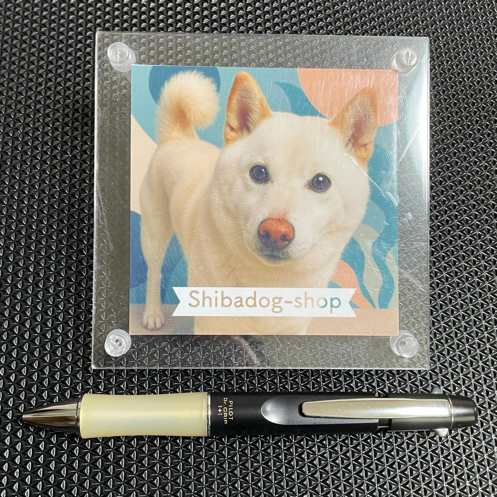 PILOT Dr. Grip 1+1 Multi Pen Ballpoint Mechanical Pencil Japan Used