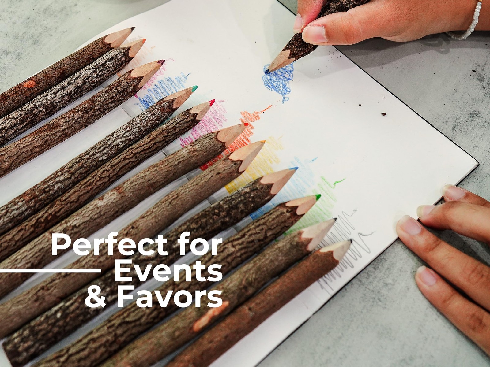 BSIRI Bark 7 Inch Colors Pencils Set 1 Count (Pack of 12), assorted color