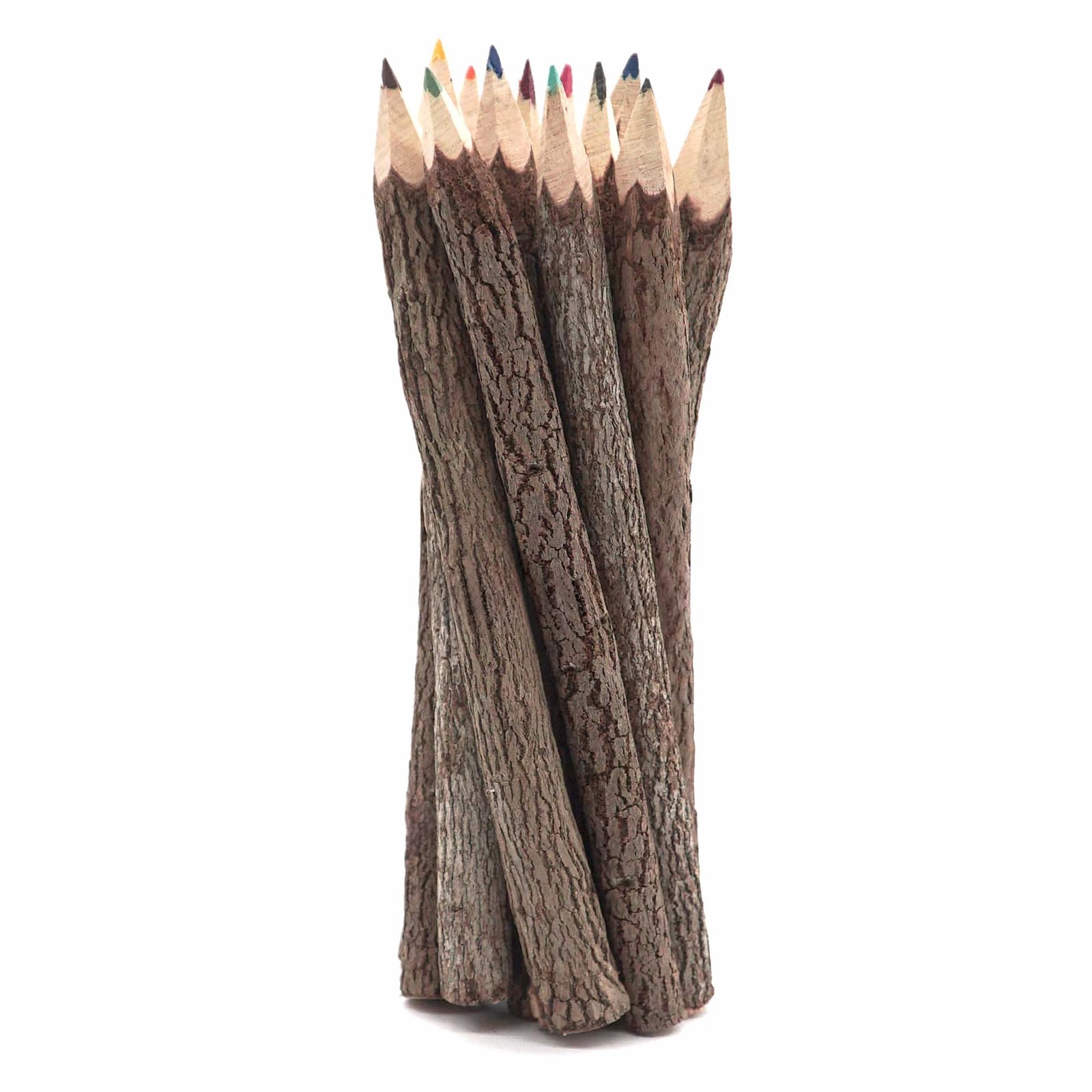BSIRI Bark 7 Inch Colors Pencils Set 1 Count (Pack of 12), assorted color