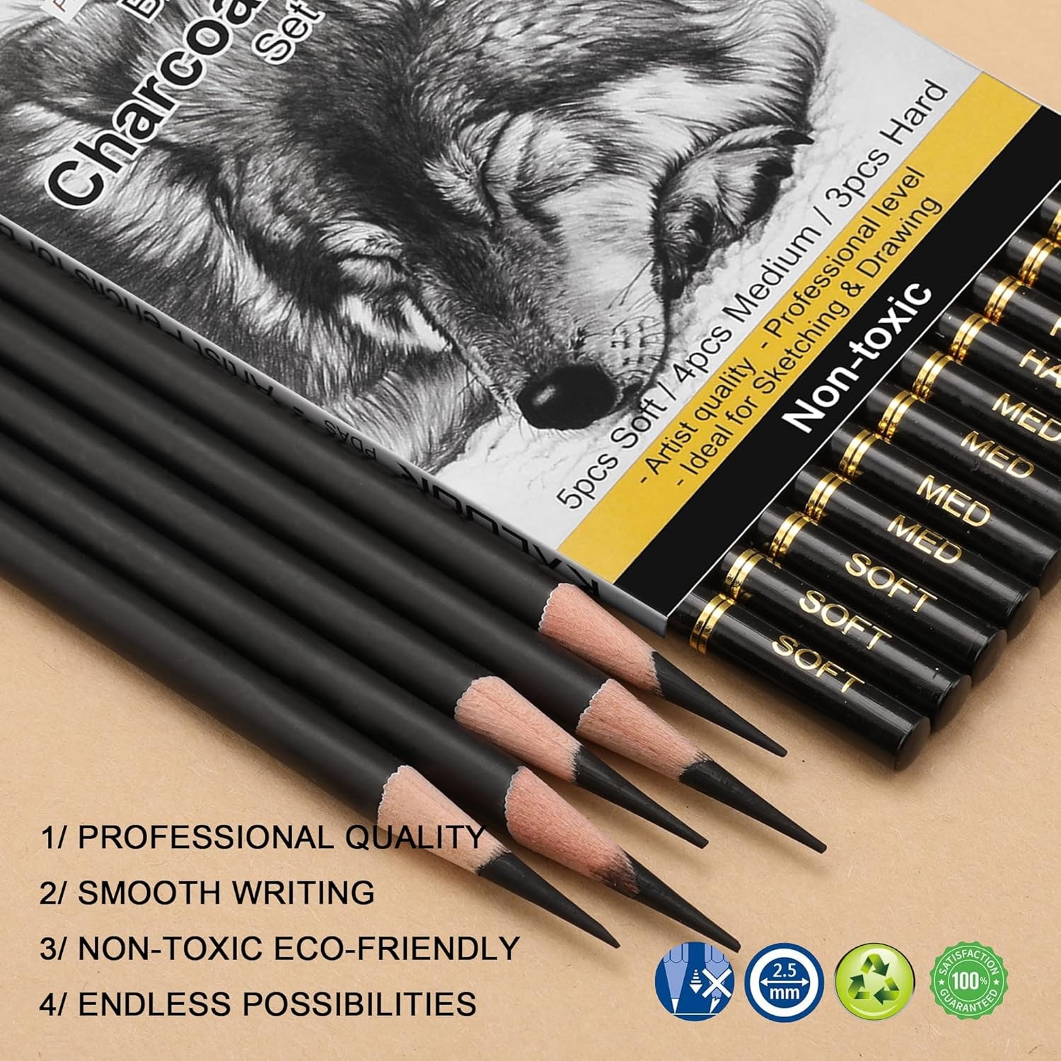KALOUR Professional Charcoal Pencils Drawing Set 1 Count (Pack of 12), Black