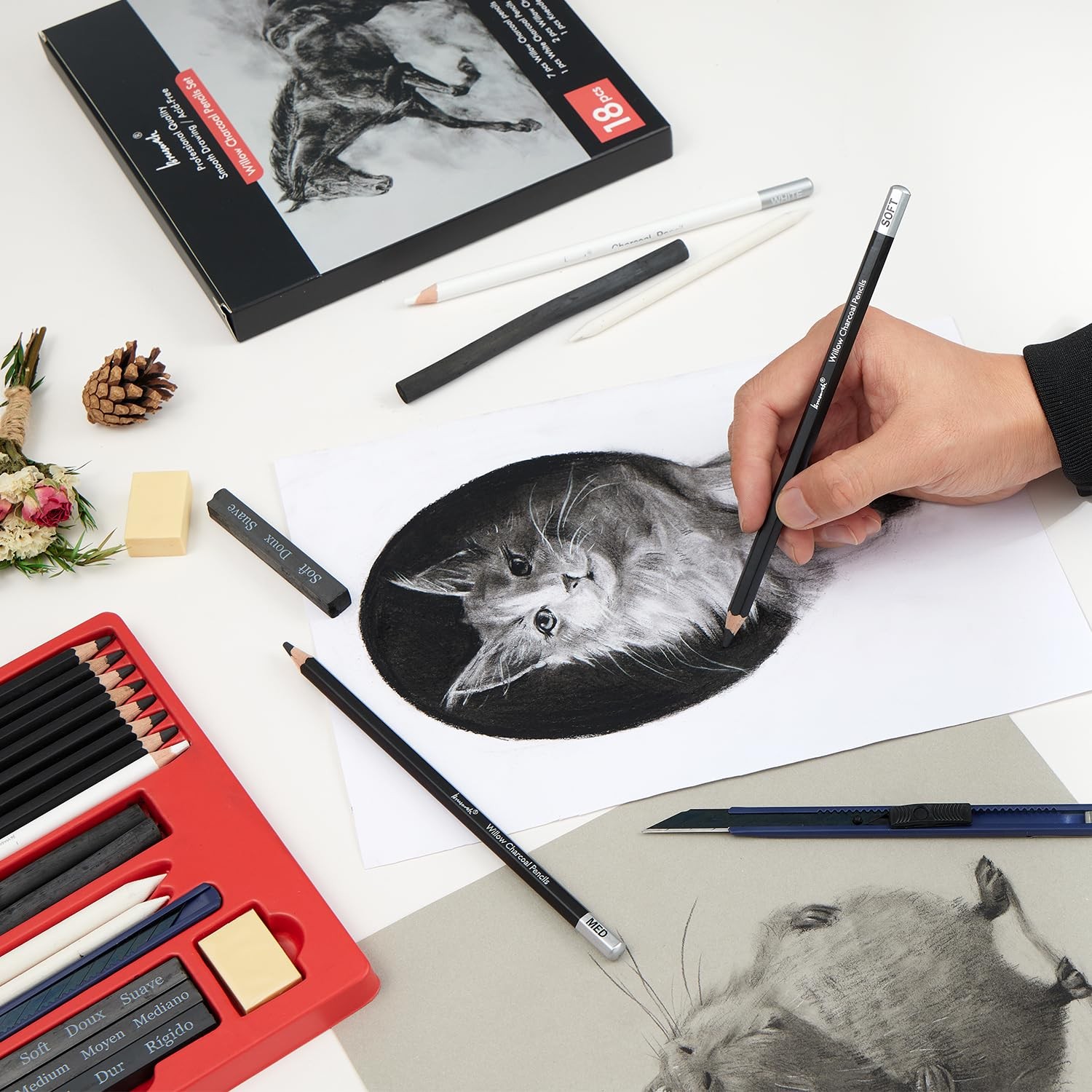 Brusarth Charcoal Pencils for Drawing, 18 Pcs Art Pencil Kit, Black,White