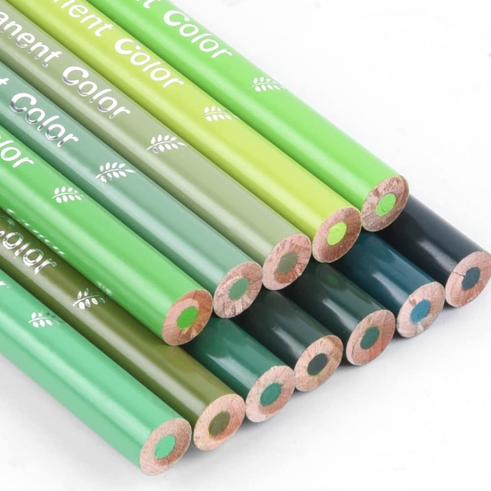 qianshan 12 Green Colored Pencils Oil Based Pre-sharpened 12 green pencils