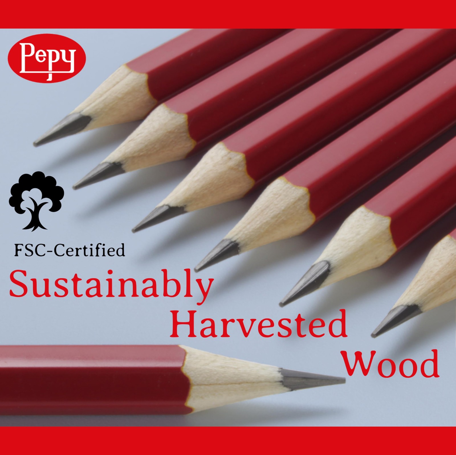 Pepy Graphite Professional Drawing Pencils – Set 1 Count (Pack of 12), Black
