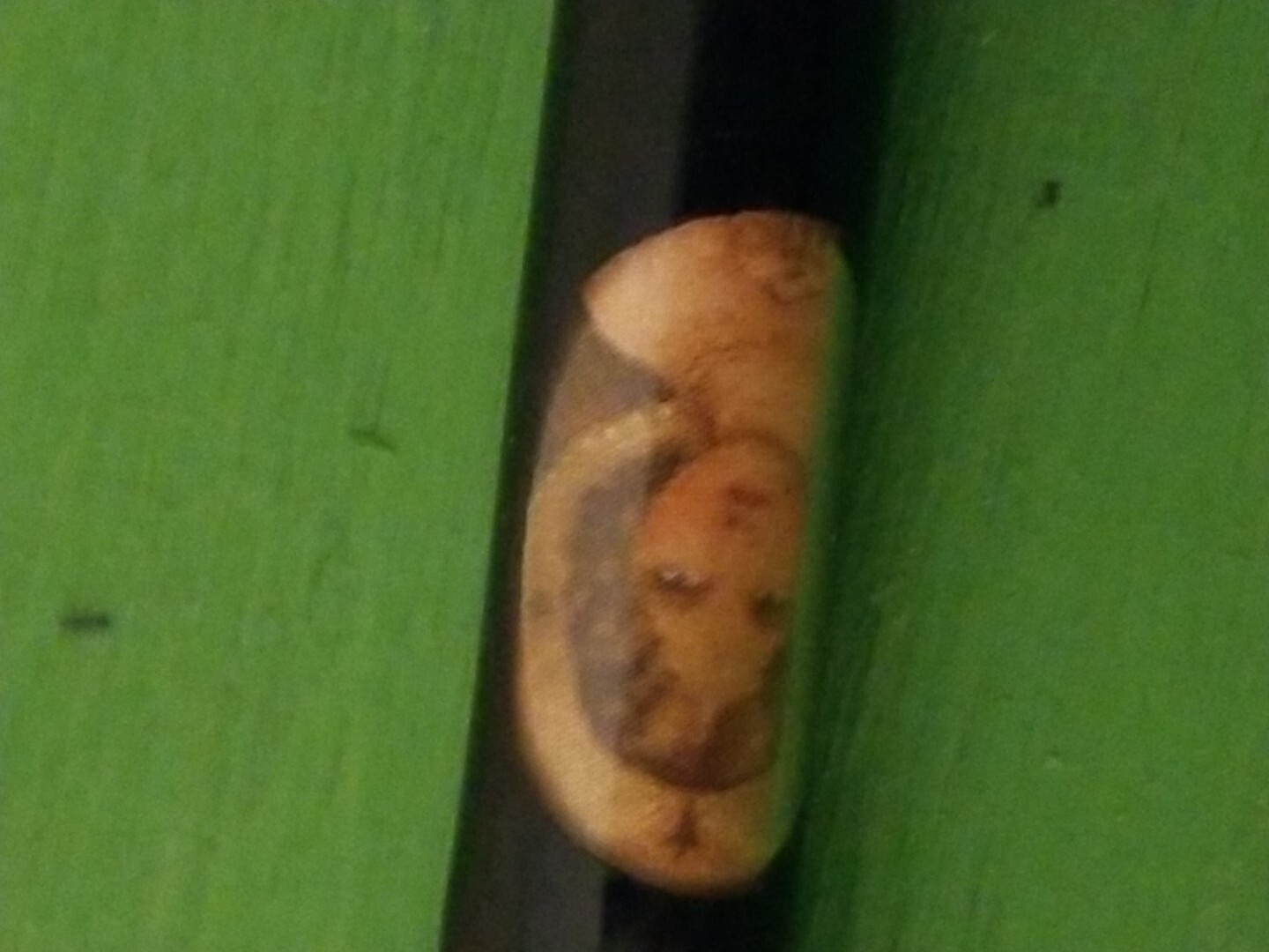 Unknown Mechanical Pencil Twist Type LOOK