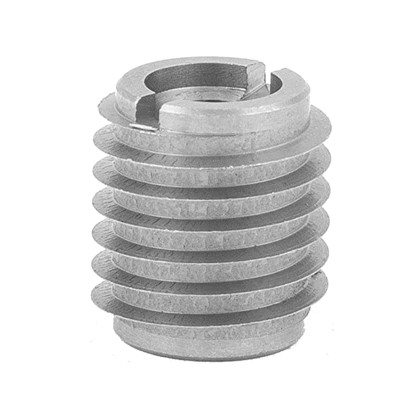 M6 1.0 Stainless Steel Mechanical Fasteners for Hard Wood Taiwan Made