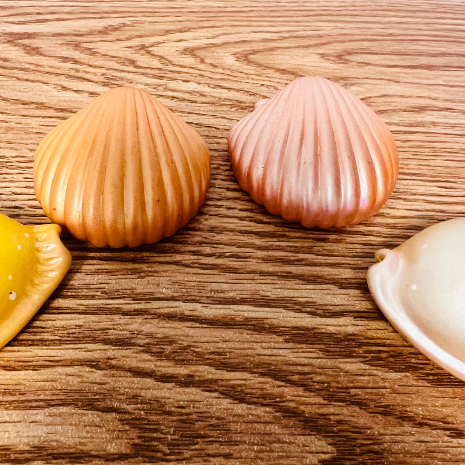 Pencil Sharpner Sea Shell Lot of 4 Plastic Smooth to the Touch