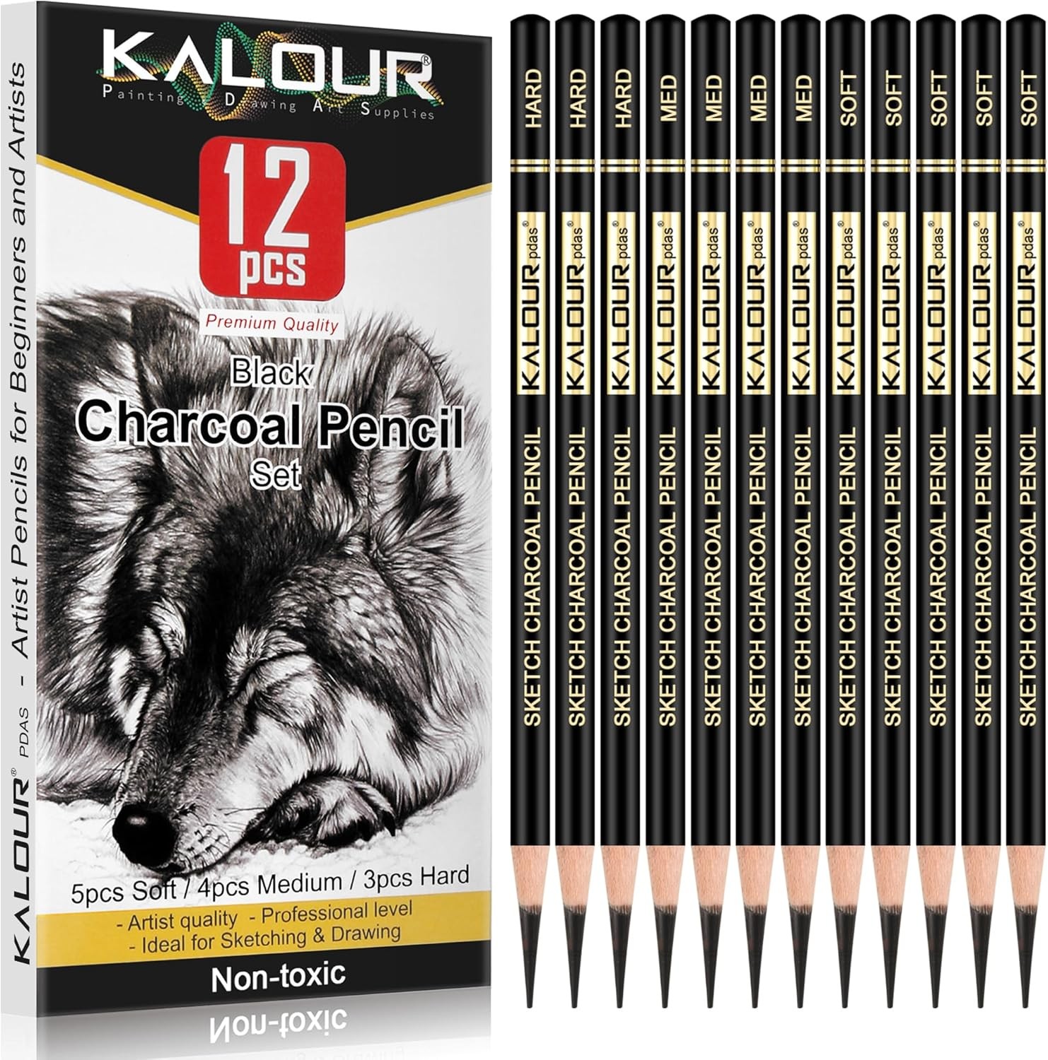 KALOUR Professional Charcoal Pencils Drawing Set 1 Count (Pack of 12), Black