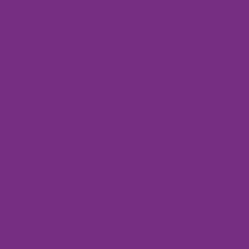 Polychromos Colored Pencil 160 Magenta Violet Soft Lead Water Resistant 3.8mm
