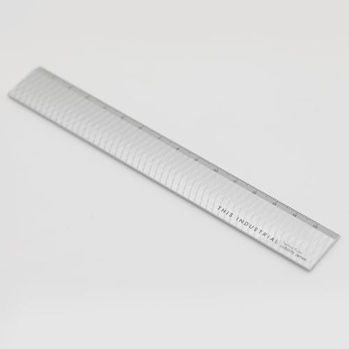 Luddite Techno Ruler, Silver, LDTI-TR-25