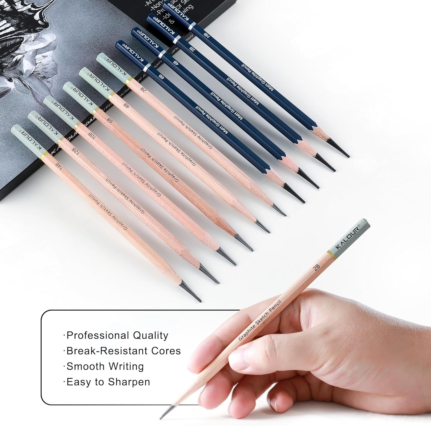 KALOUR 25-Piece Professional Sketch Pencil Set 1 Count (Pack of 25), Gray