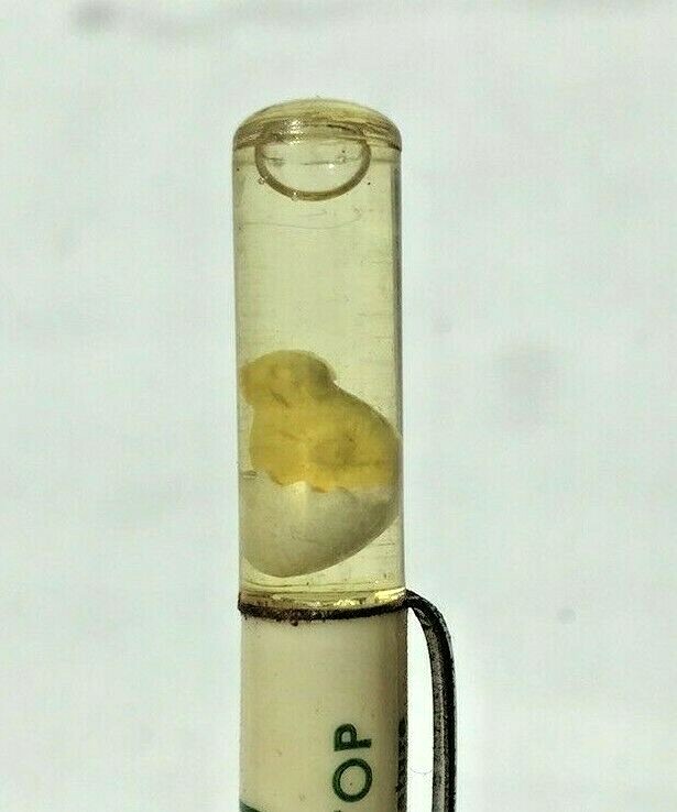 Baby Chick with Egg atop a stunning working Ritepoint mechanical pencil