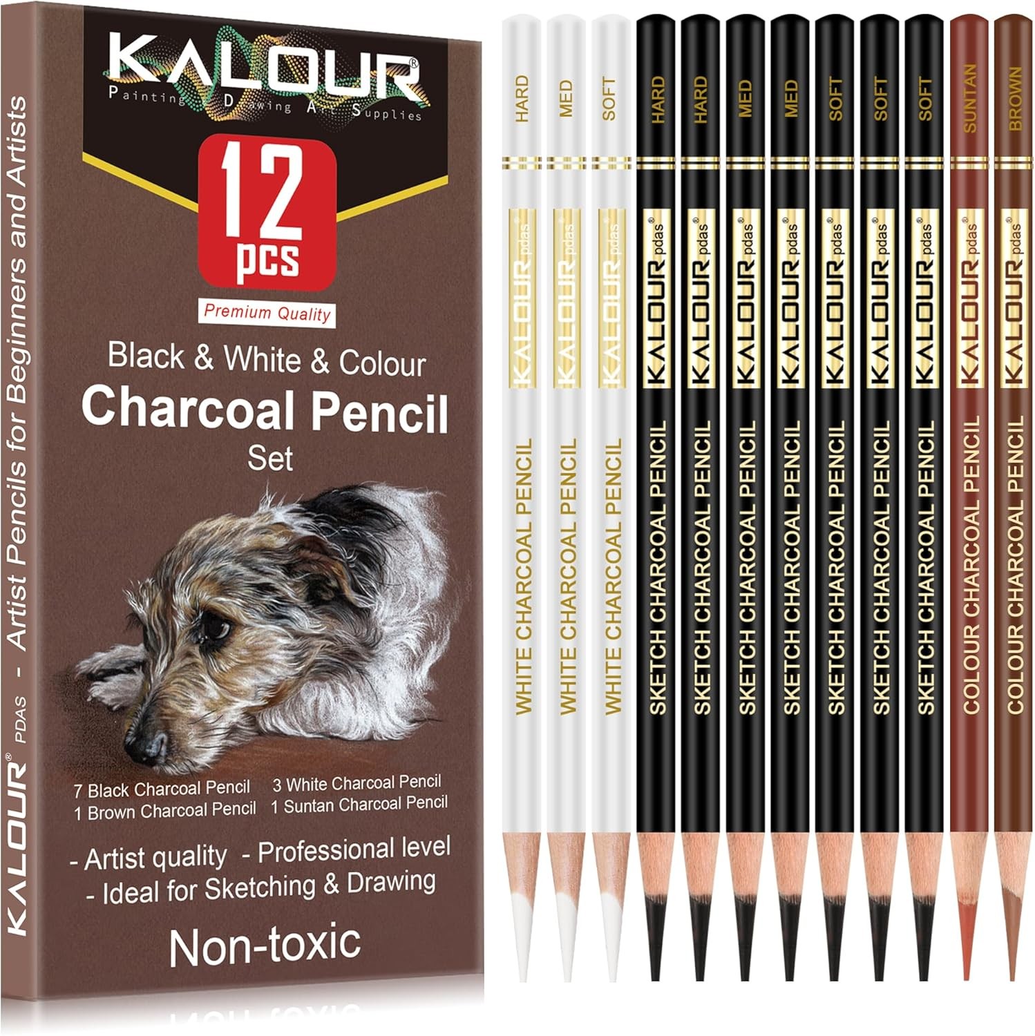 KALOUR Pro Colored Charcoal Drawing Set,12 1 Count (Pack of 12), Multicolor