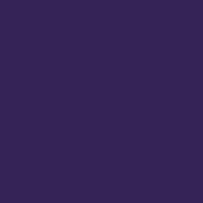 Polychromos Mauve Colored Pencil 249 Thick Lead Water Resistant High Quality