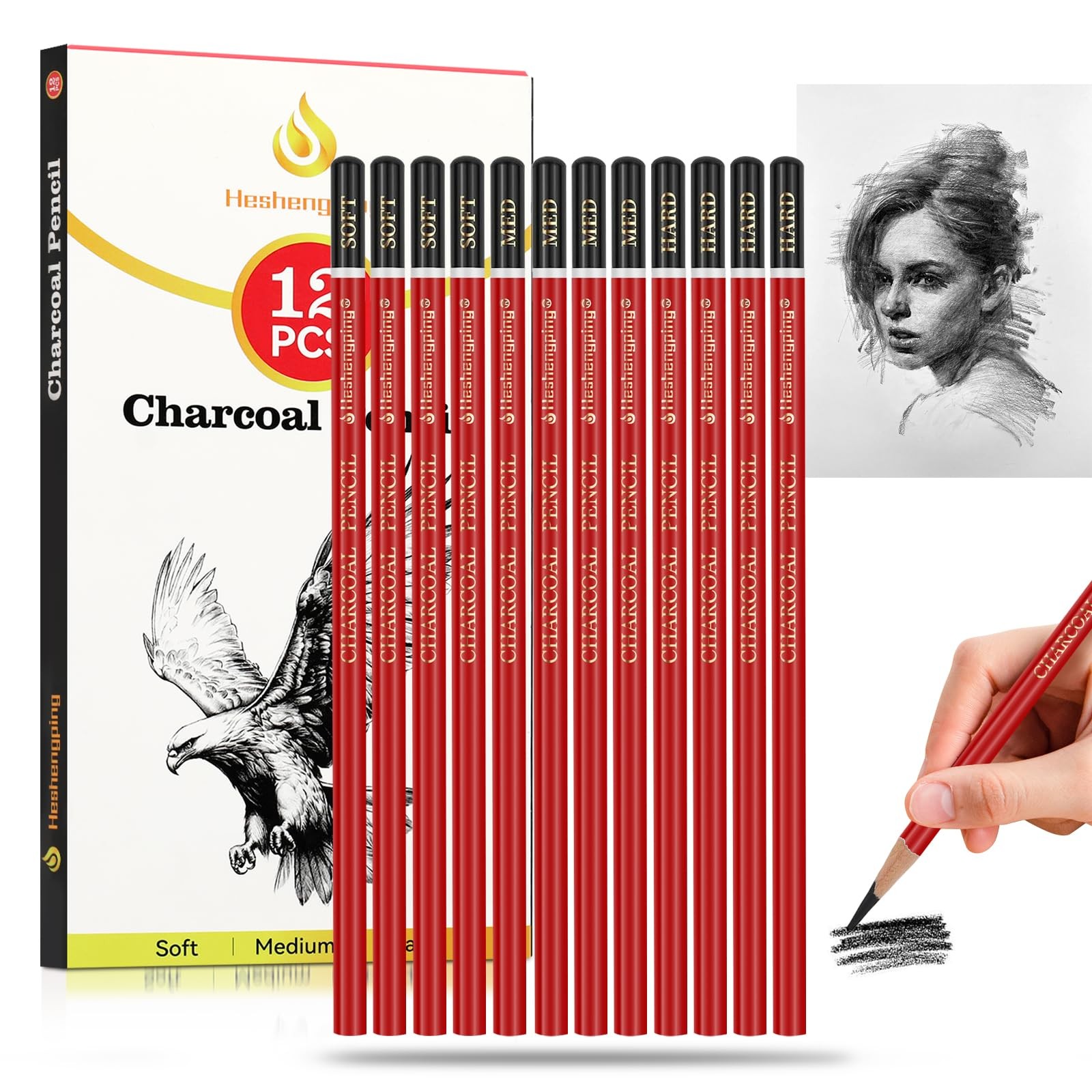 Heshengping Professional Charcoal 1 Count (Pack of 1), 12pcs Pencils