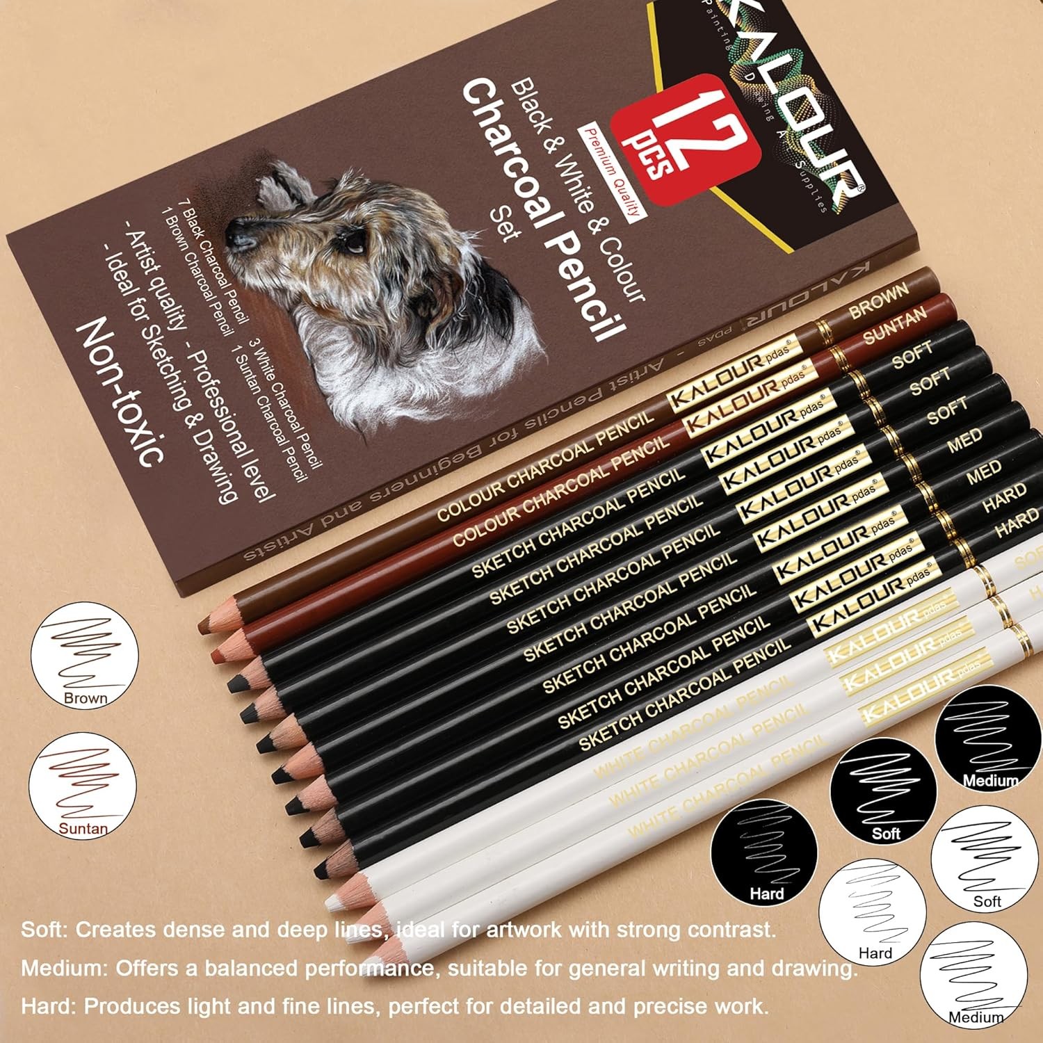 KALOUR Pro Colored Charcoal Drawing Set,12 1 Count (Pack of 12), Multicolor