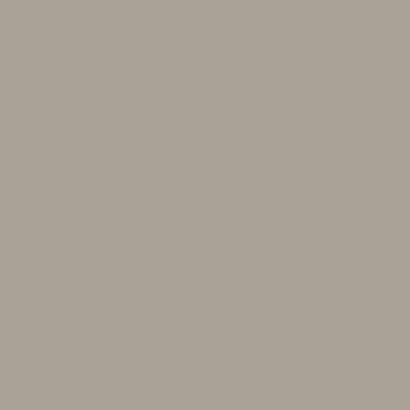 Polychromos Warm Grey III Artist Pencil Thick 38mm Lead High Quality Color