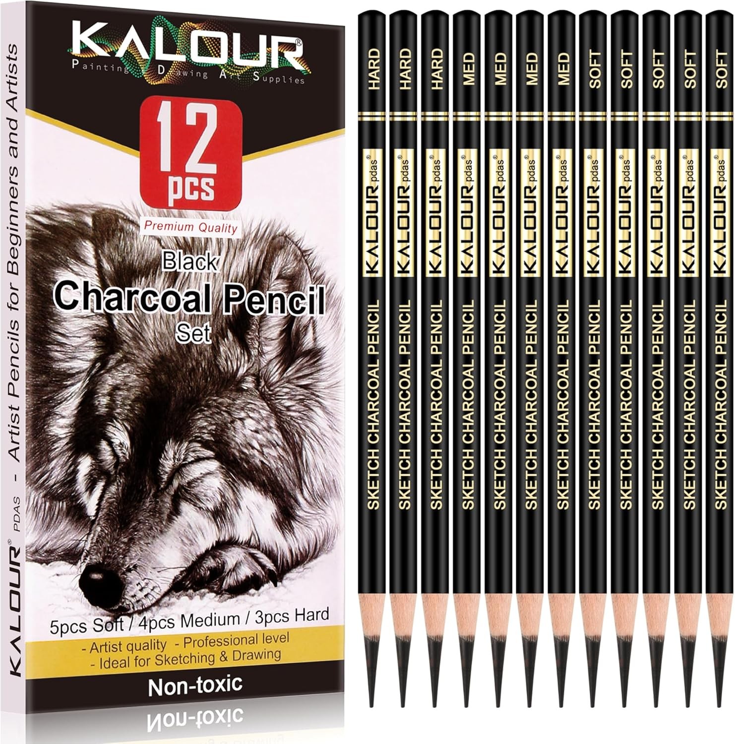 KALOUR Professional Charcoal Pencils Drawing Set 1 Count (Pack of 12), Black