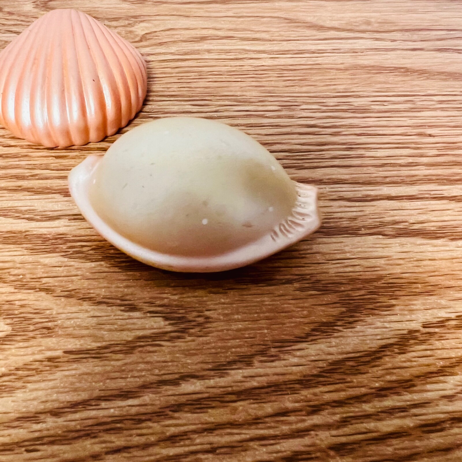 Pencil Sharpner Sea Shell Lot of 4 Plastic Smooth to the Touch
