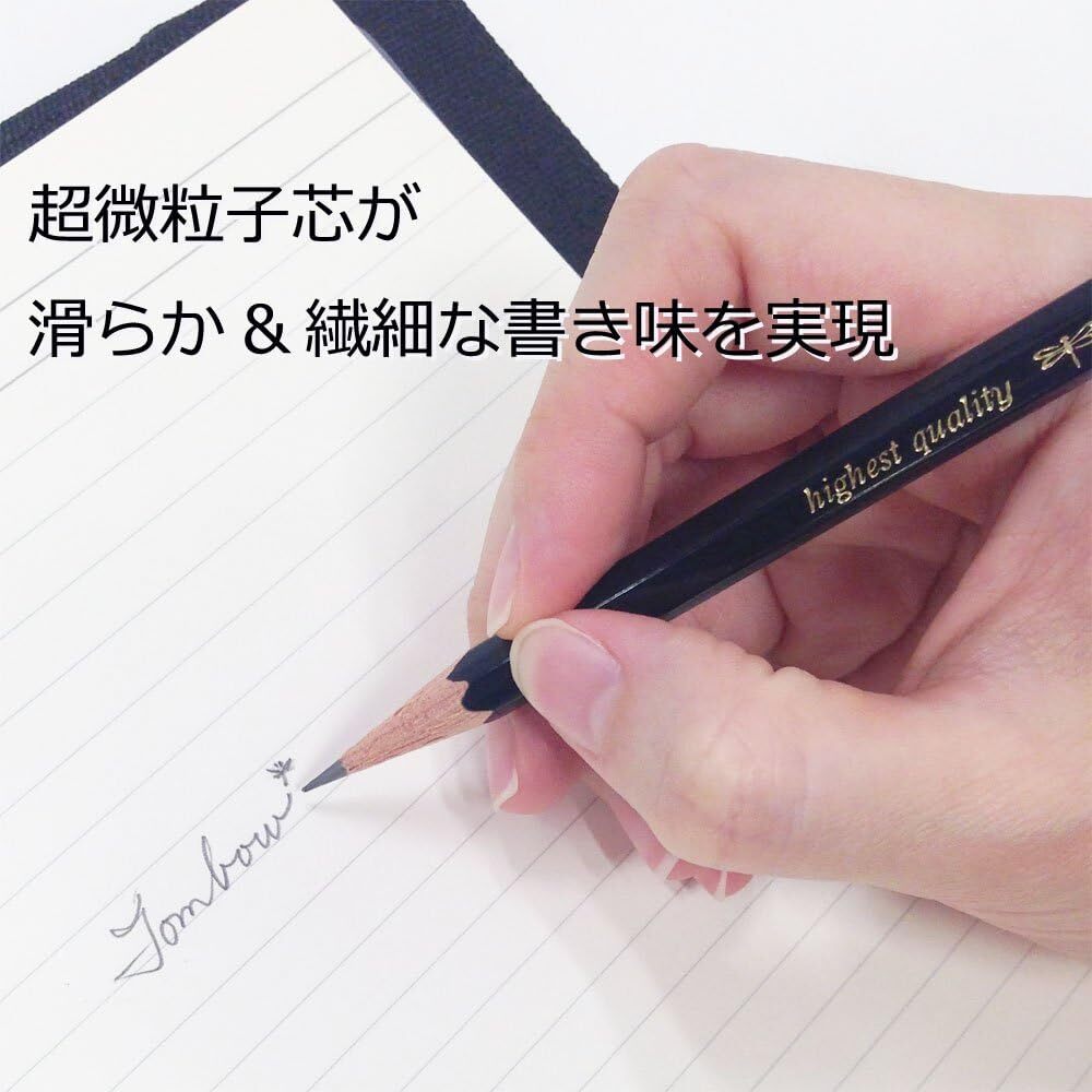 Tombow High Quality Pencil 3B MONO (High Standard Pencil with Ultrafine Par