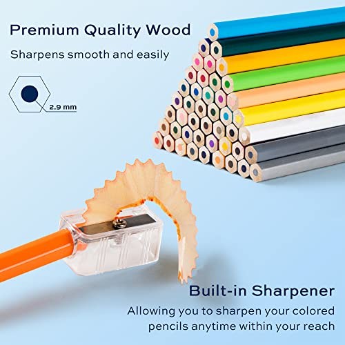 finenolo 36 Pack Colored Pencils for Adult 1 Count (Pack of 36), Multicolor