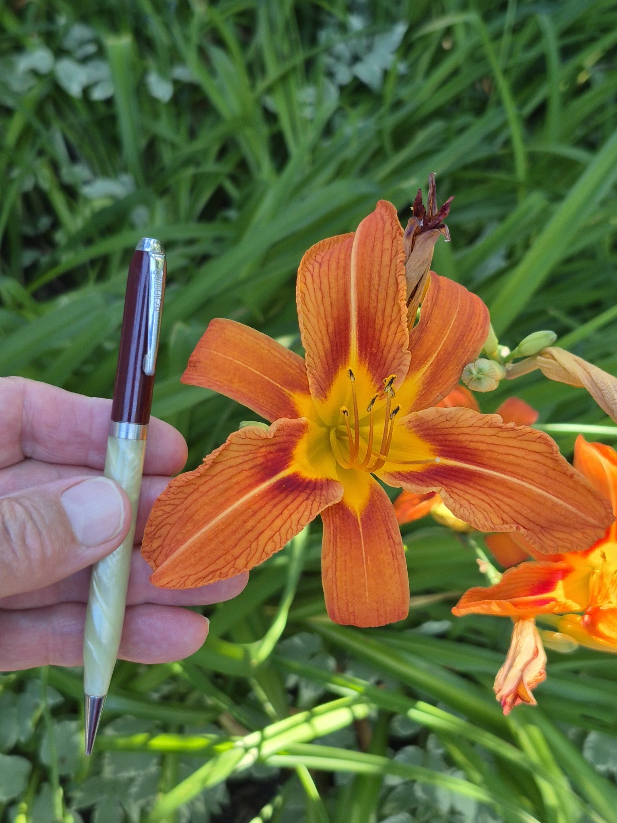 Three Osborne Mechanical Pencils, Milwaukee Advertising, Pearlescent w Maroon