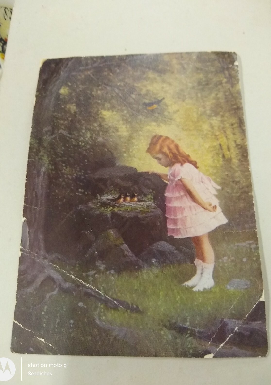 Ingersoll Redipoint Pencils Victorian Trade Card Child With Baby Birds