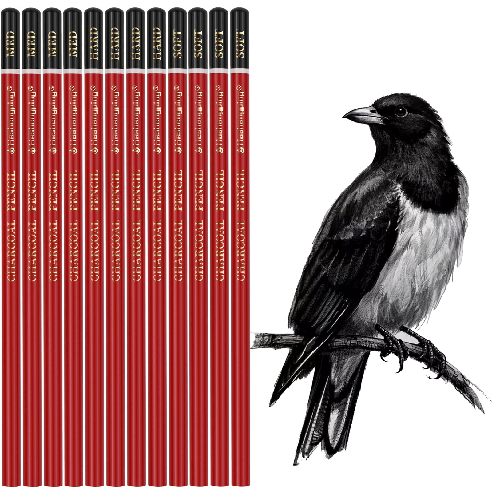 Heshengping Professional Charcoal 1 Count (Pack of 1), 12pcs Pencils