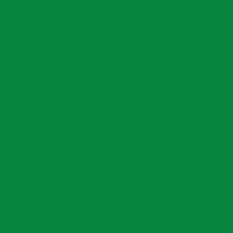 Polychromos 266 Permanent Green Artists Pencil 3.8mm Thick Lead High Quality