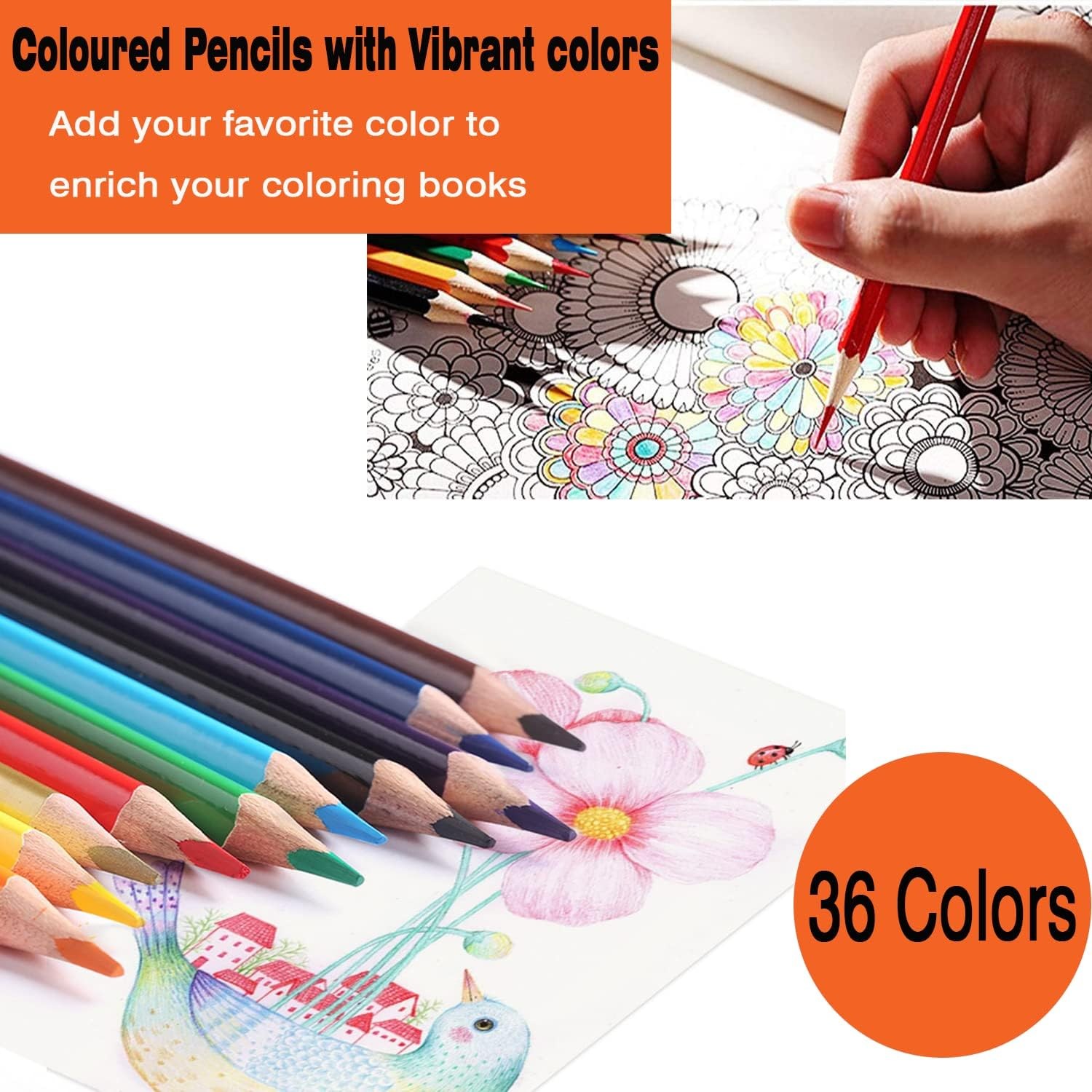 36 Colored Pencils，Quality Coloring Pencils 1 Count (Pack of 36), 36 Color