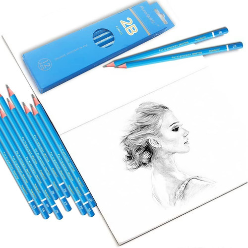 Sketch Pencils for Drawing 12B, 12pcs Softest and 1 Count (Pack of 12), Black