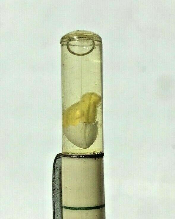 Baby Chick with Egg atop a stunning working Ritepoint mechanical pencil