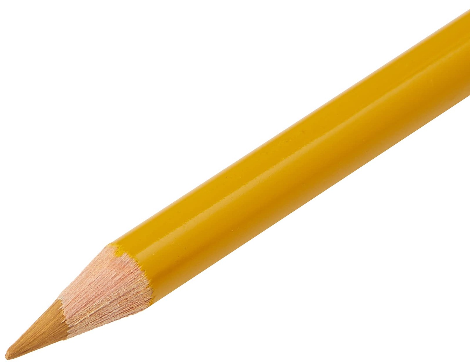 Polychromos Light Yellow Ochre Pencil 3.8mm Thick Lead High Quality Art Supplies