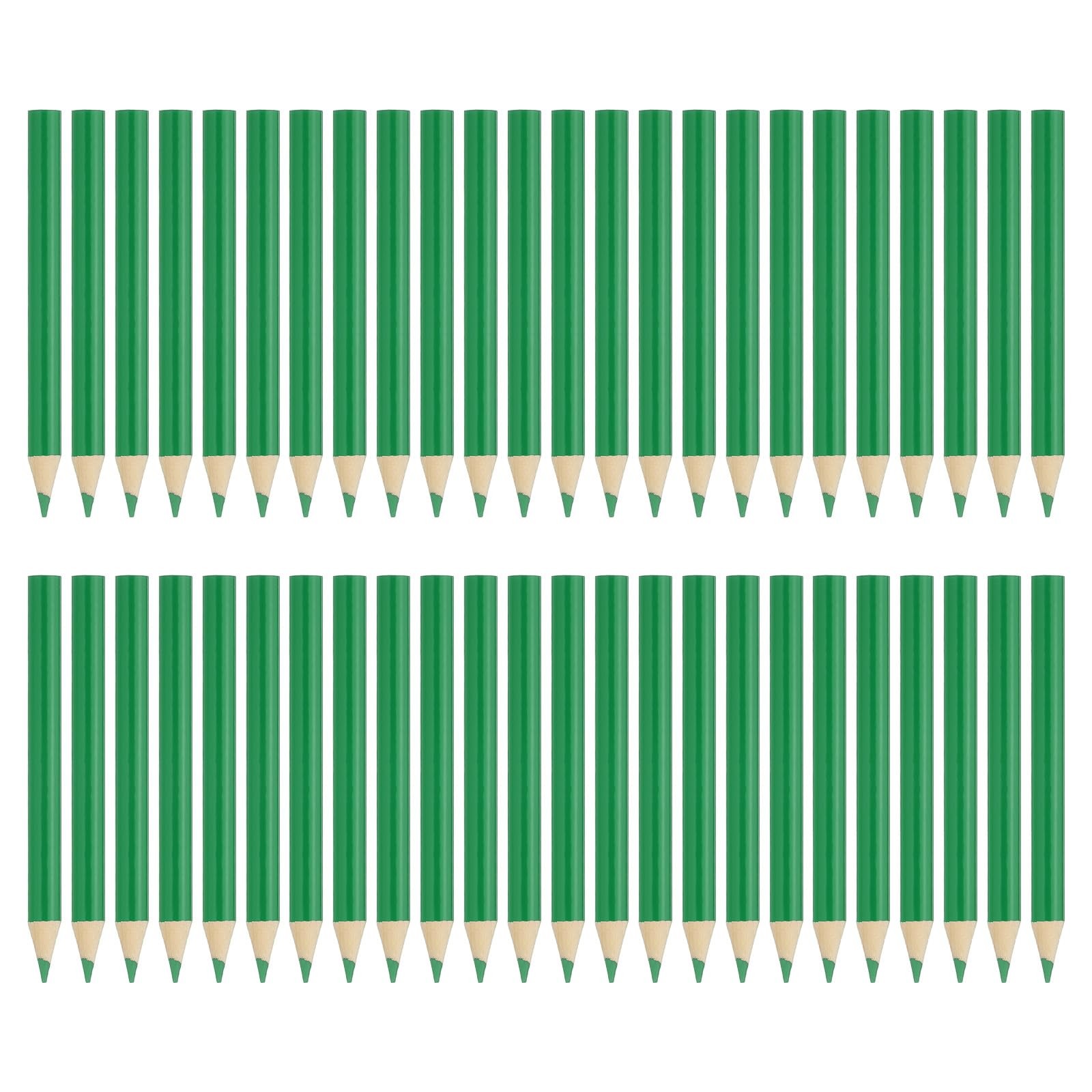 PATIKIL Fruit Green Colored Pencils Set,48 Pcs Oil Color