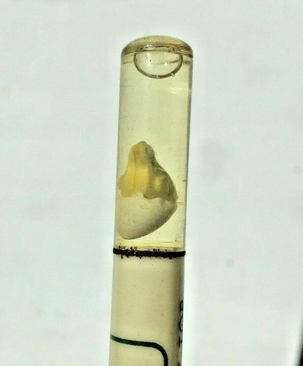 Baby Chick with Egg atop a stunning working Ritepoint mechanical pencil
